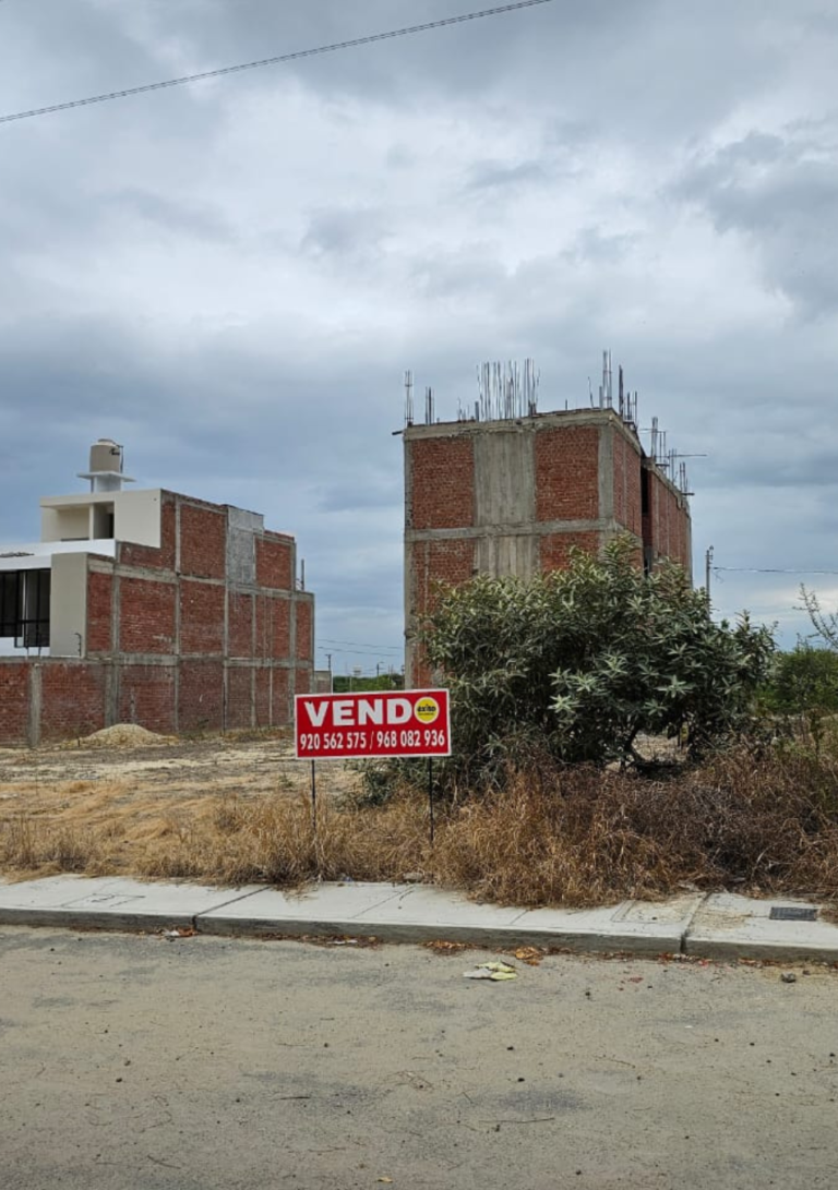 Diseño sin título (12)