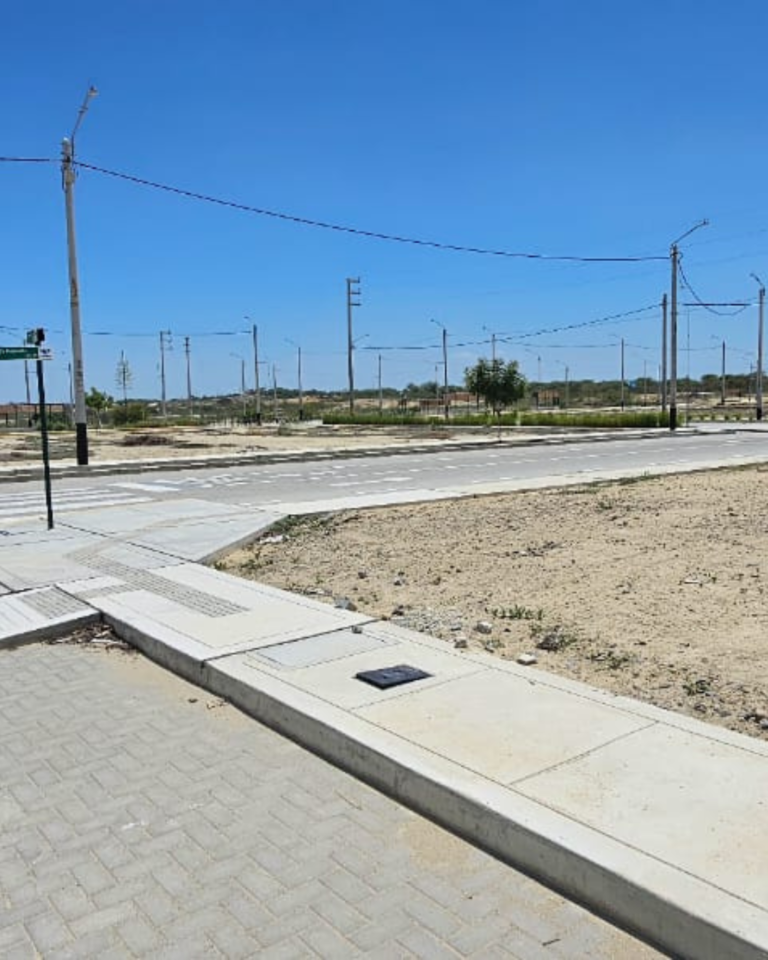 Diseño sin título (20)