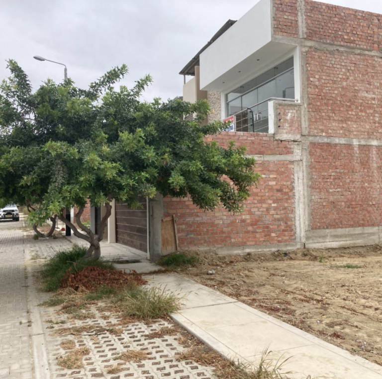 Diseño sin título (21)