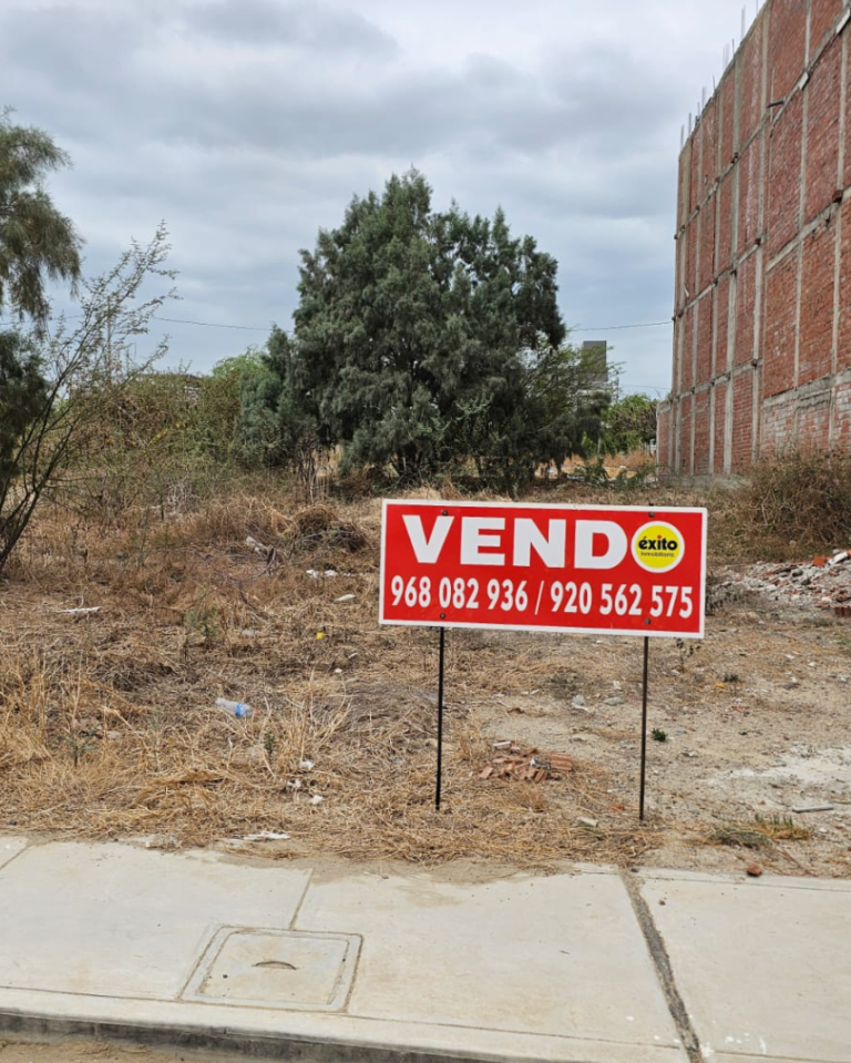 Diseño sin título (4)