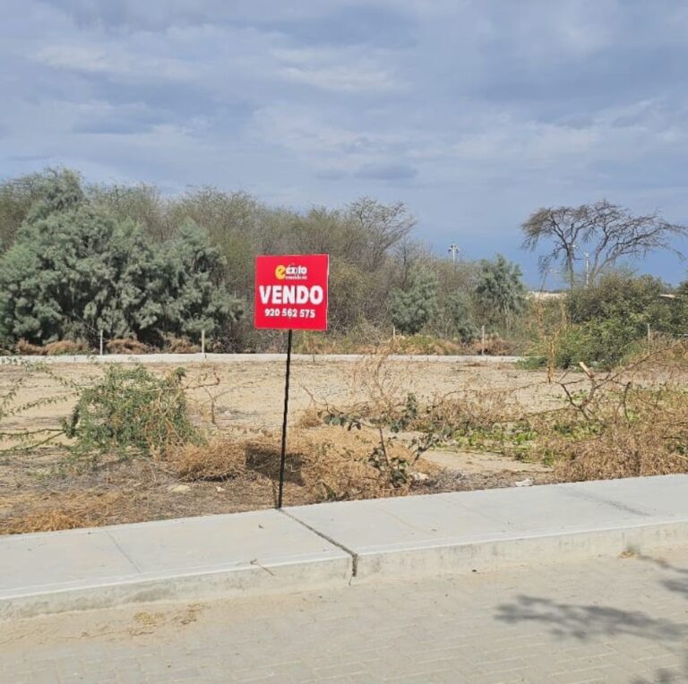 Diseño sin título - 1