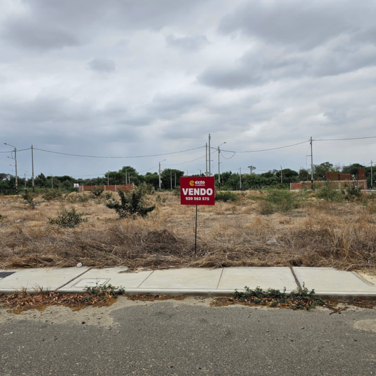 Diseño sin título (8)