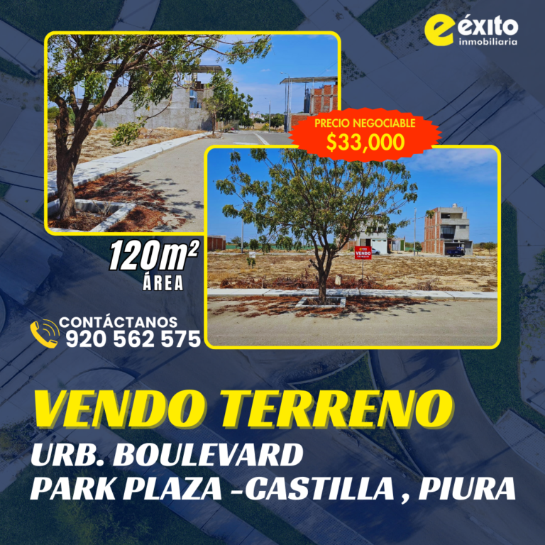 FLYER TERRENO COG. 0005